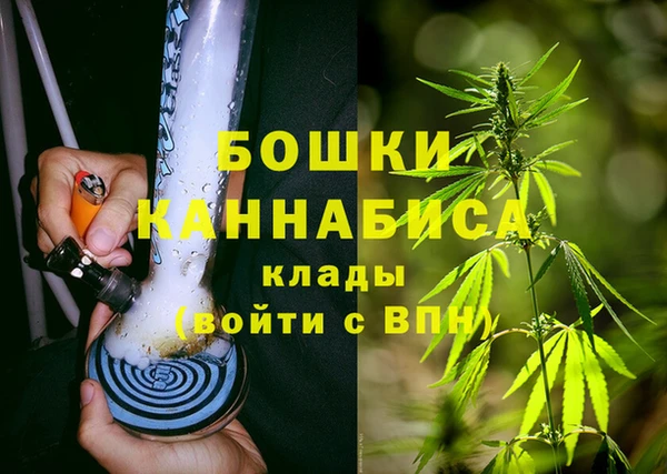 крисы Нея