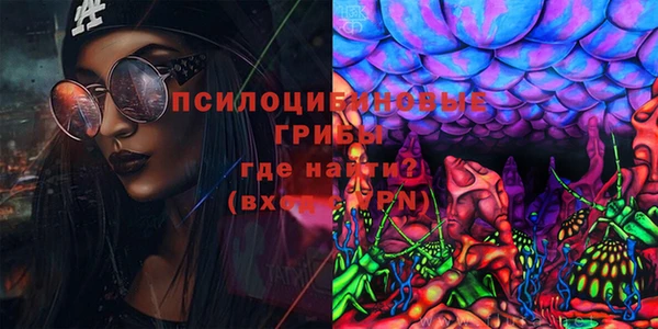 крисы Абинск