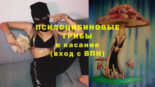 крисы Абинск