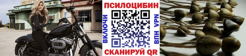 omg как войти  shop состав  Галлюциногенные грибы GOLDEN TEACHER  наркота  Новочеркасск 