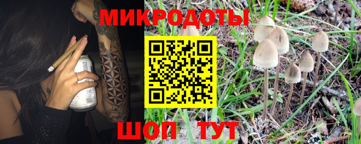 Галлюциногенные грибы Cubensis  Вход с VPN  Новочеркасск 