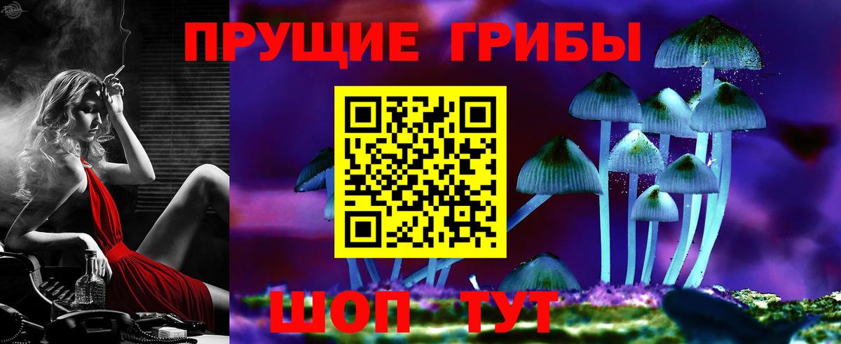 Псилоцибиновые грибы Psilocybe Новочеркасск