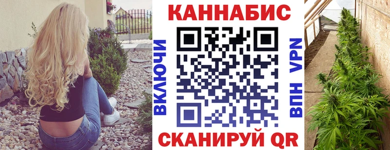 где найти наркотики  Новочеркасск  Каннабис SATIVA & INDICA 